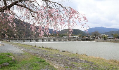 The scene of a bridge : Togetsu-kyo Bridge over Katsura-gawa River running through Arashiyama in Kyoto City　日本の橋の風景：京都市の嵐山を貫流する桂川に架かる渡月橋の風景