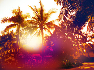 Blurred breathtaking sunset scenery. Coconut palm tree under orange  sky. Vintage background....
