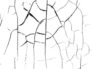 Abstract Cracked Monochrome Texture - 776850434