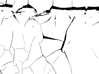 Abstract Cracked Monochrome Texture - 776850456