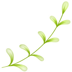 green leaves isolated on white