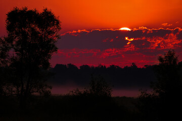 Golden Hour Sunrise 