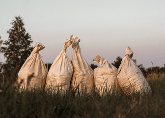 five storage bags with ground on the field