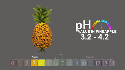 pH value in pineapple 3d illustration