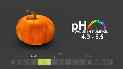 pH value in pumpkin 3d illustration