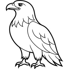 American eagle in flight Silhouette Graphics Vector Illustration, eagle Line Art,eagle Svg t shirts Design, Laser Cut File Cricut, Paper Cut and Printing, eagle face Svg, Easter For Kids Bundle