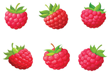 Fresh bright raspberry vector illustration