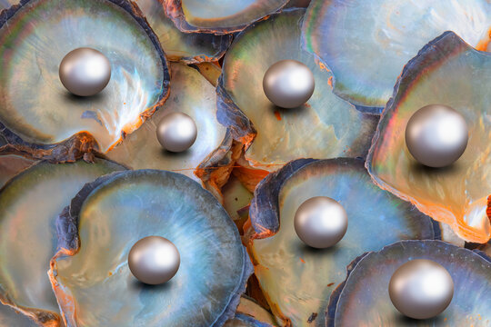 A few pearl in an oyster shell