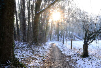 Trail in Winter at the River Böhme in the Town Walsrode, Lower Saxony