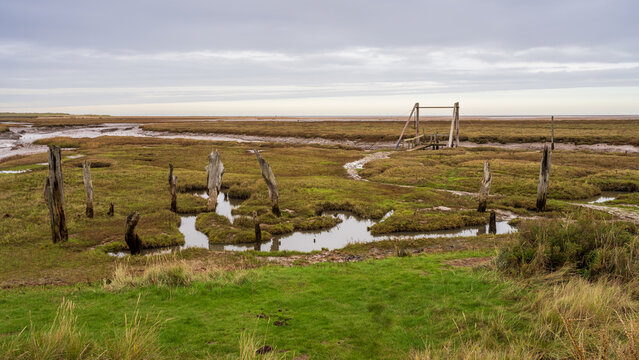Marshland near Thornham Old Harbour, Norfolk, England, UK
