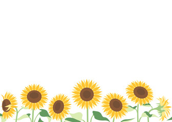 Fototapeta premium シンプルなひまわりの背景素材、夏の壁紙、フレーム 