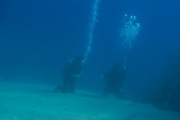 Fototapeta na wymiar two divers at their training at the sandy seabed in clear water