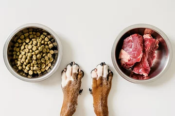 Fotobehang Different feeding methods with dog paws, bowls with dry food kibbles and chunk of raw meat on white background © Firn