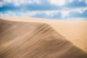Fine texture on sand in a desert.