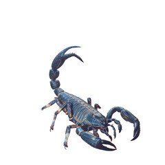 Black scorpion on Transparent Background