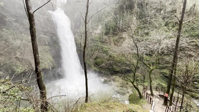 Stunning waterfall in the forest in spring season