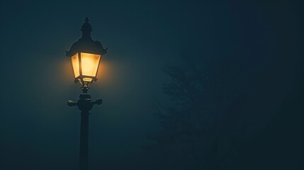 A solitary antique street lamp emits a soft, warm glow, piercing the darkness with a backdrop of shadowy tree silhouettes. - obrazy, fototapety, plakaty