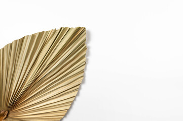 Top view of dried palm leaf on white background. Tropical plant leaf, flat lay, copy space.