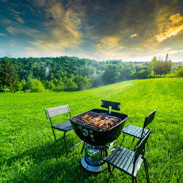 Steak grilled on a barbecue grill in nature