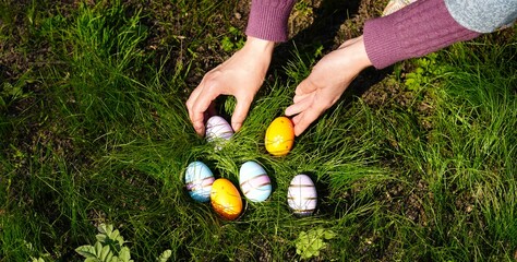 women's hands collect colorful eggs hidden in the green grass in the garden close-up, The concept...