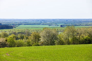Rural view with lush green trees by a green field