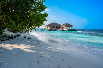 Beautiful sandy beach near a dense tropical forest.