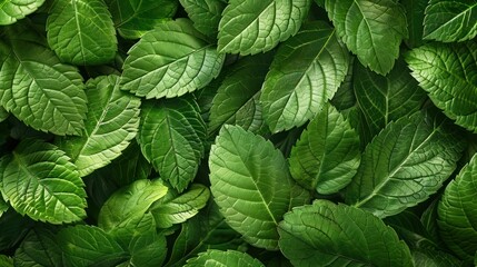 Green leaves a seamless soft background