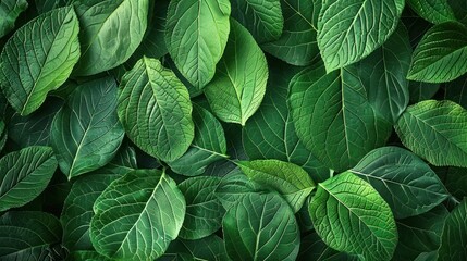 Green leaves a seamless soft background