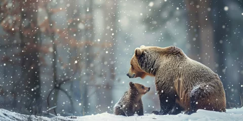Foto op Aluminium Cute brown bear cub, snowy woodland playtime © jesica