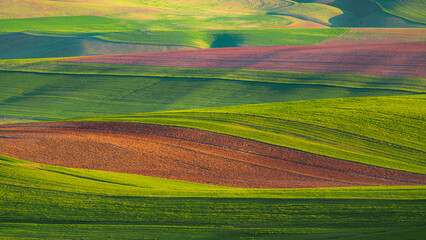 Landscape of plowed cultivated agricultural fields