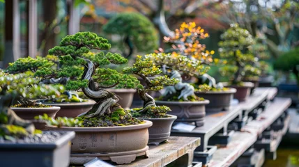 Outdoor-Kissen Beautifully maintained Bonsai trees boasting vibrant flowers, showcasing the beauty and diversity of Bonsai species © road to millionaire