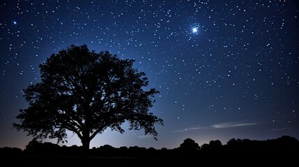 Fototapeta na wymiar silhouette black sky with stars