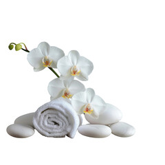 Towels and flowers arranged on a transparent background