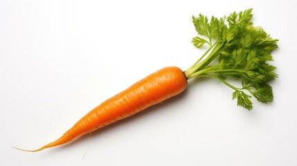 glossy food carrot background