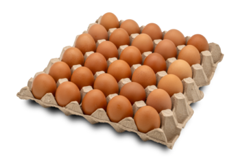 30 eggs raw in a carton box on transparent background. Thirty fresh chicken eggs. clipping path