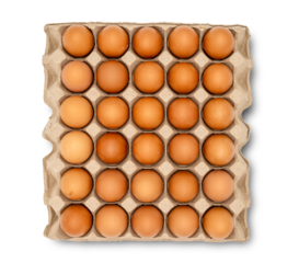 top view of 30 eggs raw in a carton box on transparent background. Thirty fresh chicken eggs. clipping path