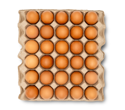 top view of 30 eggs raw in a carton box on transparent background. Thirty fresh chicken eggs. clipping path