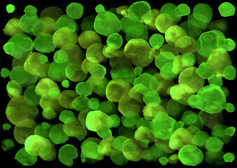 Abstract background of intersecting watercolor circles on a black background. Chaotic and curved circles of different sizes, colors and shades. Different shades of green. Watercolor blur.