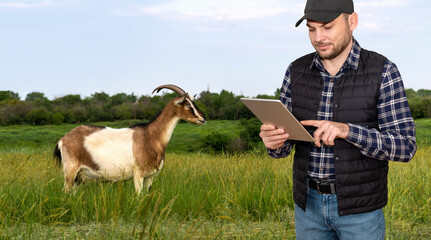 Smart and wireless technology in agriculture. Man farmer using digital tablet to control the...