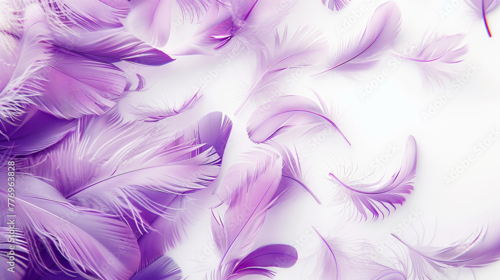 Poster a white background with purple feathers scattered across it. the feathers are of various sizes and s