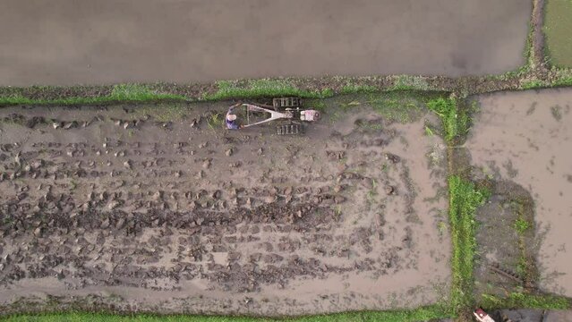 Man using simple walking tractor to plough waterlogged rice field, top-down aerial shot. Farmer stops and removes with his foot clod of soil from plow. Hard work at paddy after end of rice growing