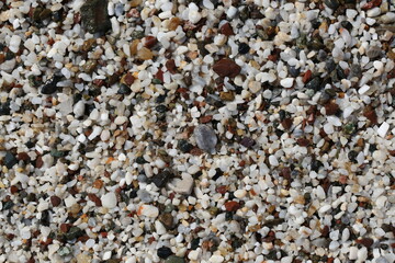 Wet marine multicolored stones