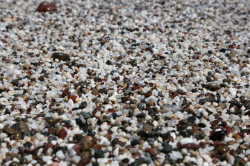 Wet marine multicolored stones