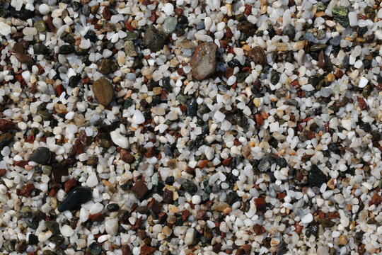wet pebbles on the beach