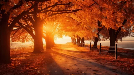 Rolgordijnen trees light orange © vectorwin