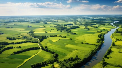 s agriculture field aerial view