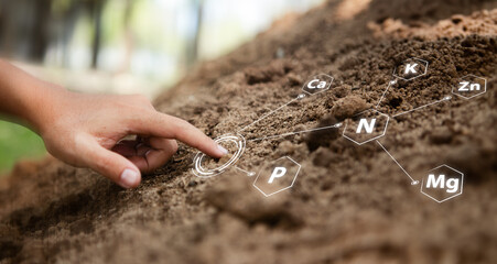 Hand pointing at minerals in the soil or nutrients of the ground around are fertile and fertilized. Bathed in warm sunlight, suitable for planting crops and growing sustainable agriculture farming. - obrazy, fototapety, plakaty