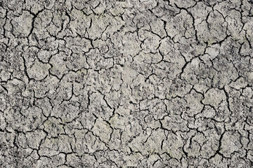 Parched land, dry cracked earth, arid soil, dry cracked earth texture, cracked earth, desert,...