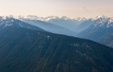 Hurricane Ridge in Olympic National Park, Mountain in Washington State