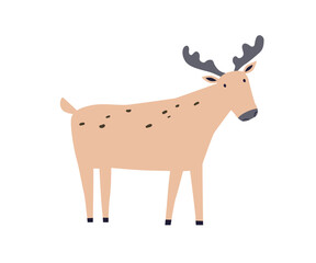 Cute Scandinavian-style elk. Adorable baby moose. Friendly funny kawaii woodland fauna. Nordic Scandi horned mammal. Kids childish flat graphic vector illustration isolated on white background